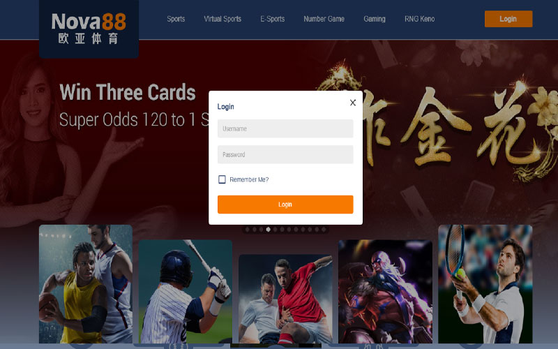 เว็บแทงบอล สมัครฟรี