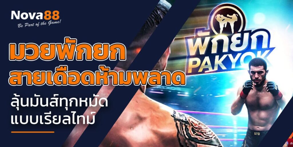 มวยพักยก