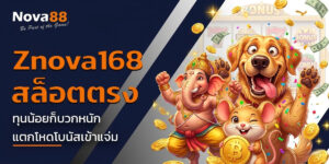 znova168